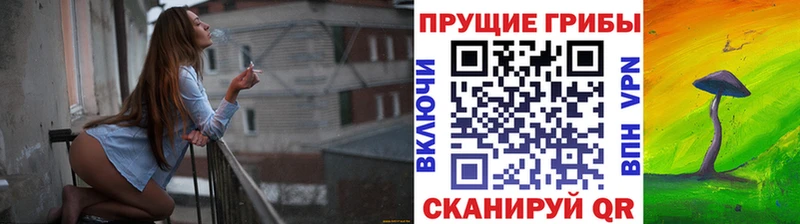Псилоцибиновые грибы GOLDEN TEACHER  Новопавловск 